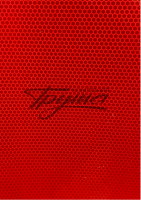 TRUEreflect i-Copy