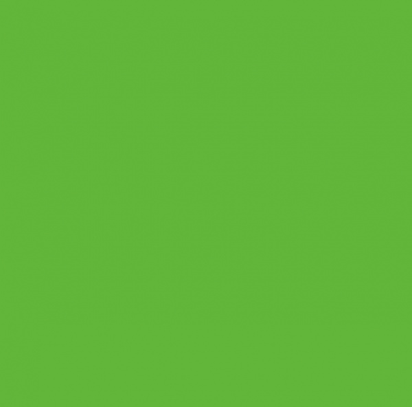 TRUEarmor PPF Green 39 CODD